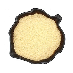 Hot sale Unflavored Food Grade Beef Gelatin Halal Powder for Pudding Making